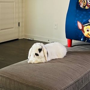 Meet your Posher, Shilpa